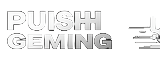 Push Gaming innovativer Spieleentwickler